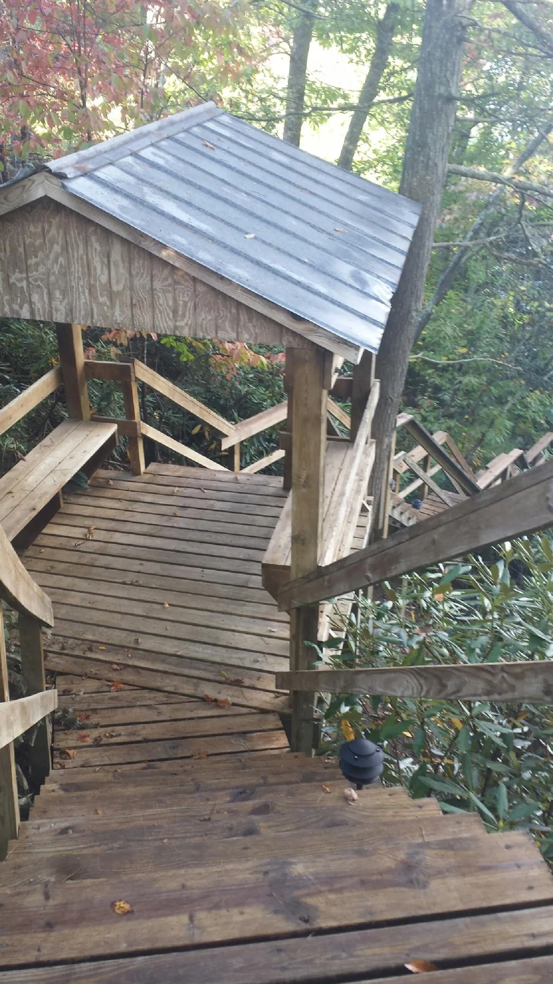 Metal roofed shelter over wooden steps on a wooded walkway — Skylight Repair & Installation work by our crew in Cottonton